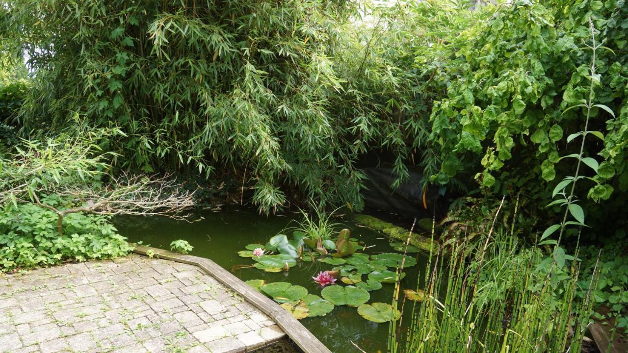 泽伦贝格Au Nid De Cigogne公寓 外观 照片